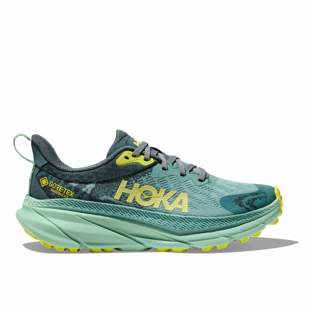 Odor Free Structural Reinforcement Women's Challenger ATR 7 GTX